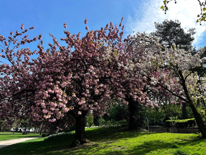 Südpark Ostern