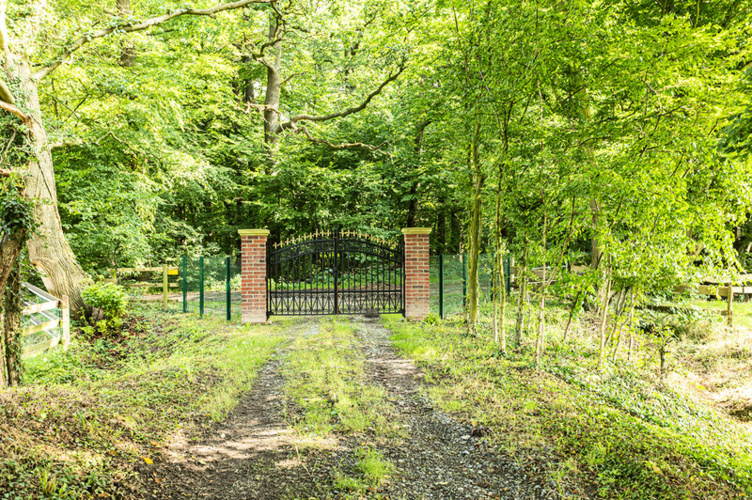 Pferdeweide