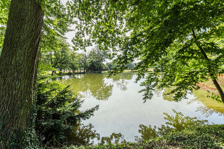 Wohnen