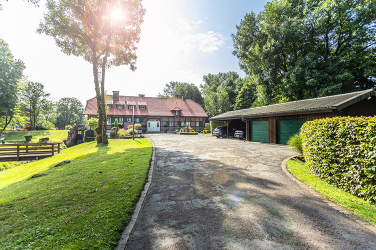 Pferdeweide