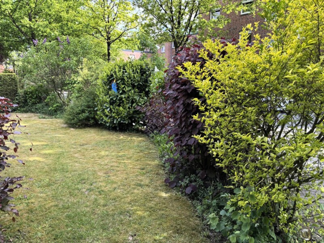 Südgarten