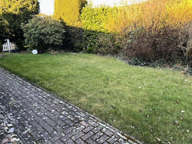 Bild25