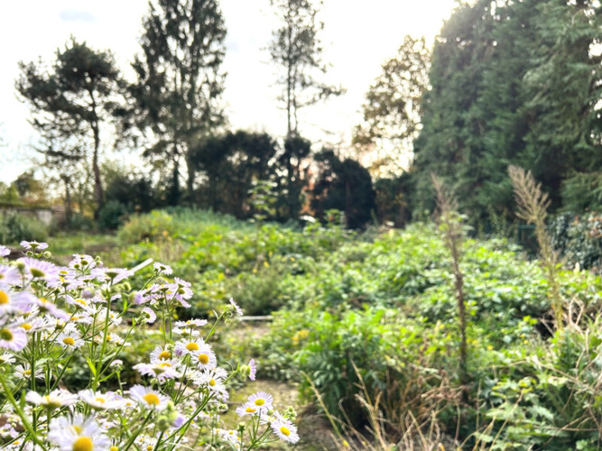 Garten