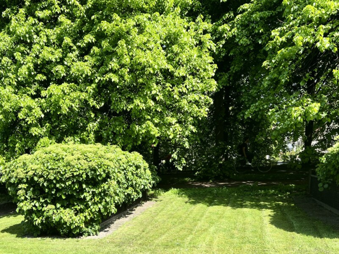 Gemeinschaftsgarten