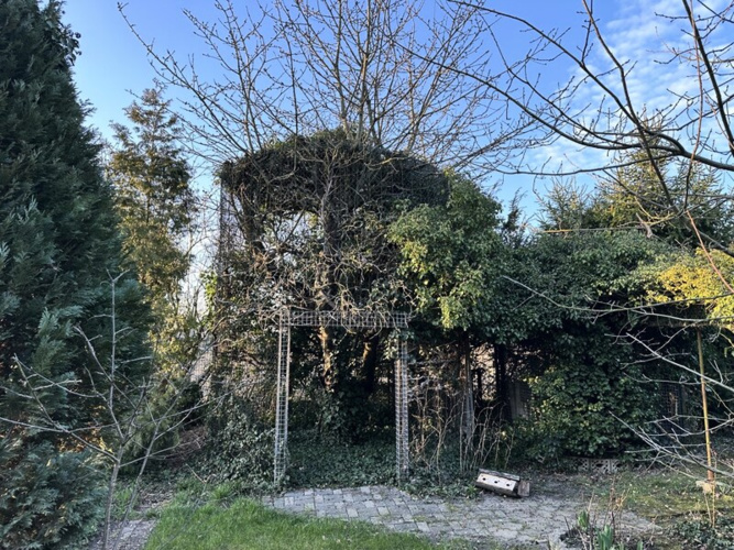 Teil des Gartens