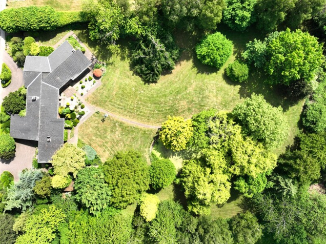 Lassen Sie Ihre Gartenträume wahr werden